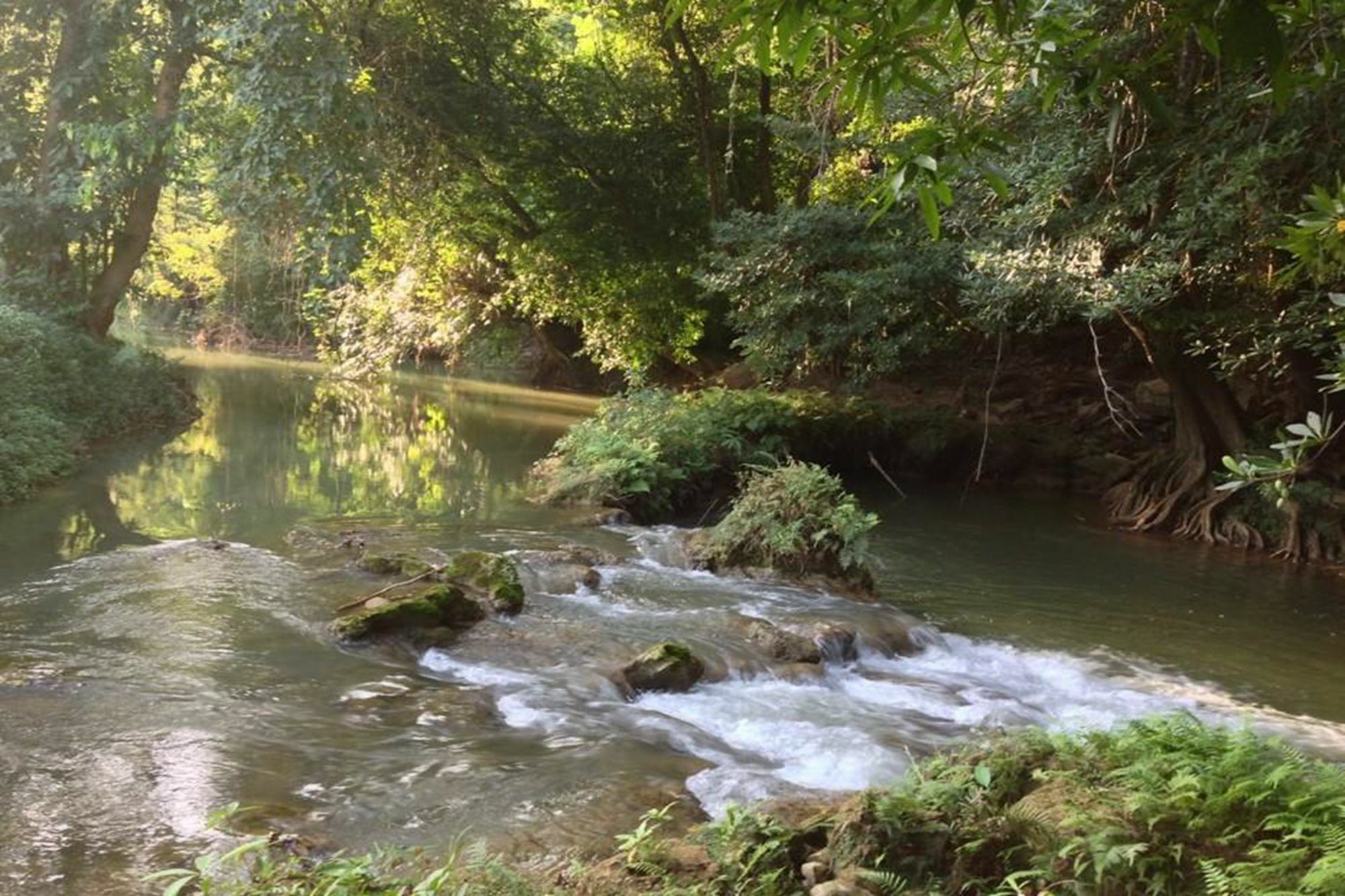 Pak Chong Khao Nam Fah Resort מראה חיצוני תמונה